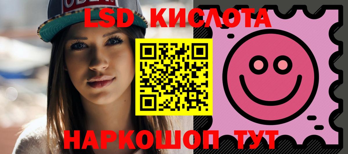 МЕФ Камышлов