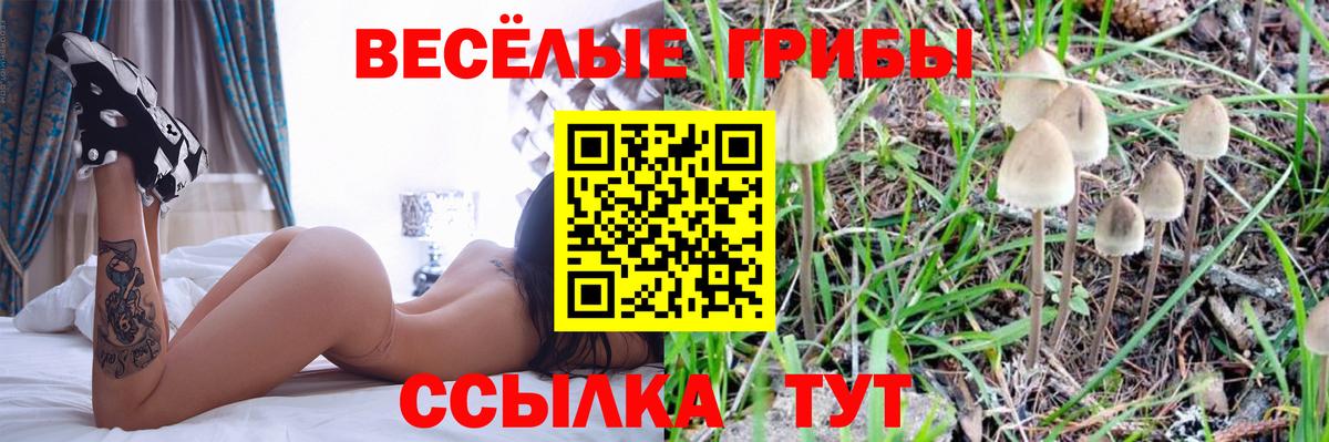 Камышлов  Псилоцибиновые грибы прущие грибы  Вход с VPN  Псилоцибиновые грибы мухоморы 